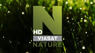 Viasat Nature HD