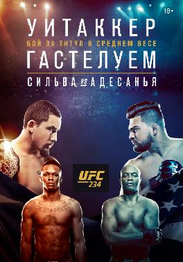 UFC 234