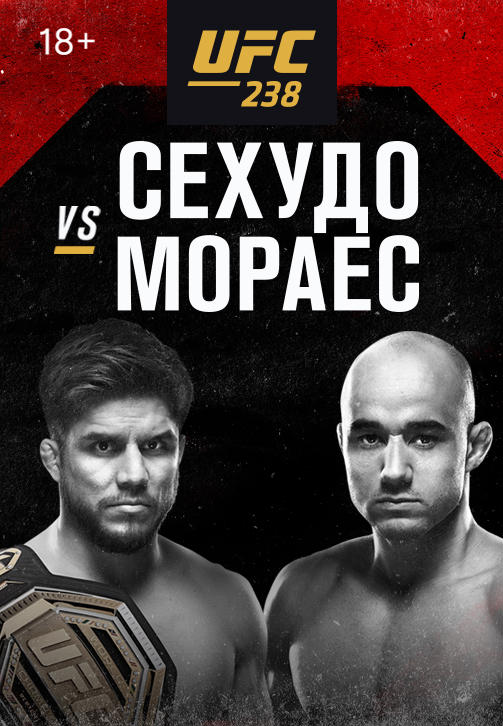 UFC 238