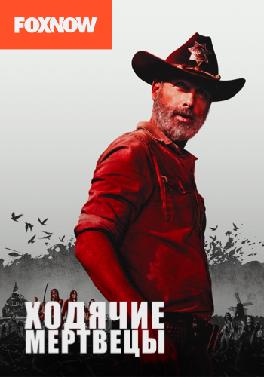 Ходячие мертвецы. Сезон 9. Серия 9